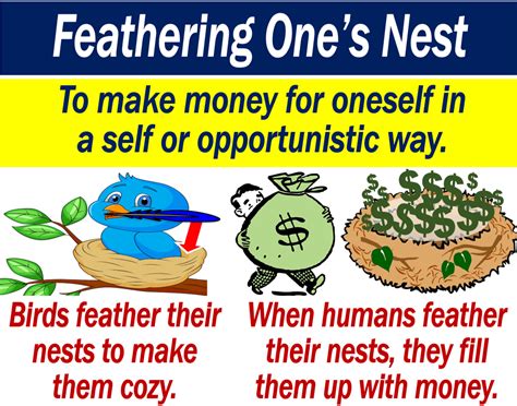 feather your nest meaning|To Feather One's Nest – Idiom, Meaning & Origin .